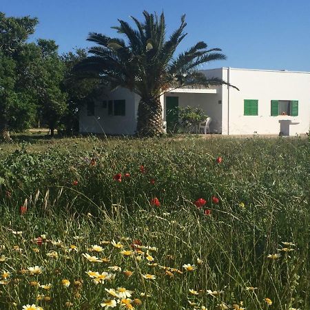 Es Magraner Villa Cala Saona Exterior foto
